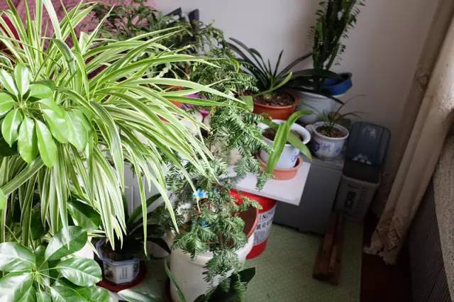 中国·37000威尼斯(股份)有限公司-官方网站